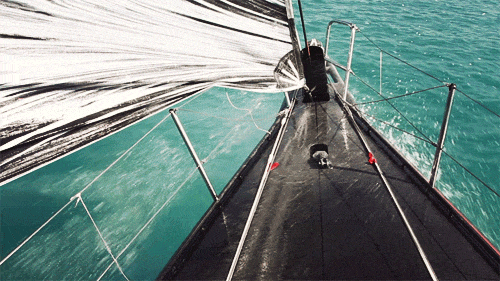 Boat Boat